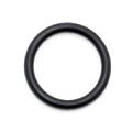 0302540 - O-Ring