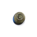 91051 - Set Screw