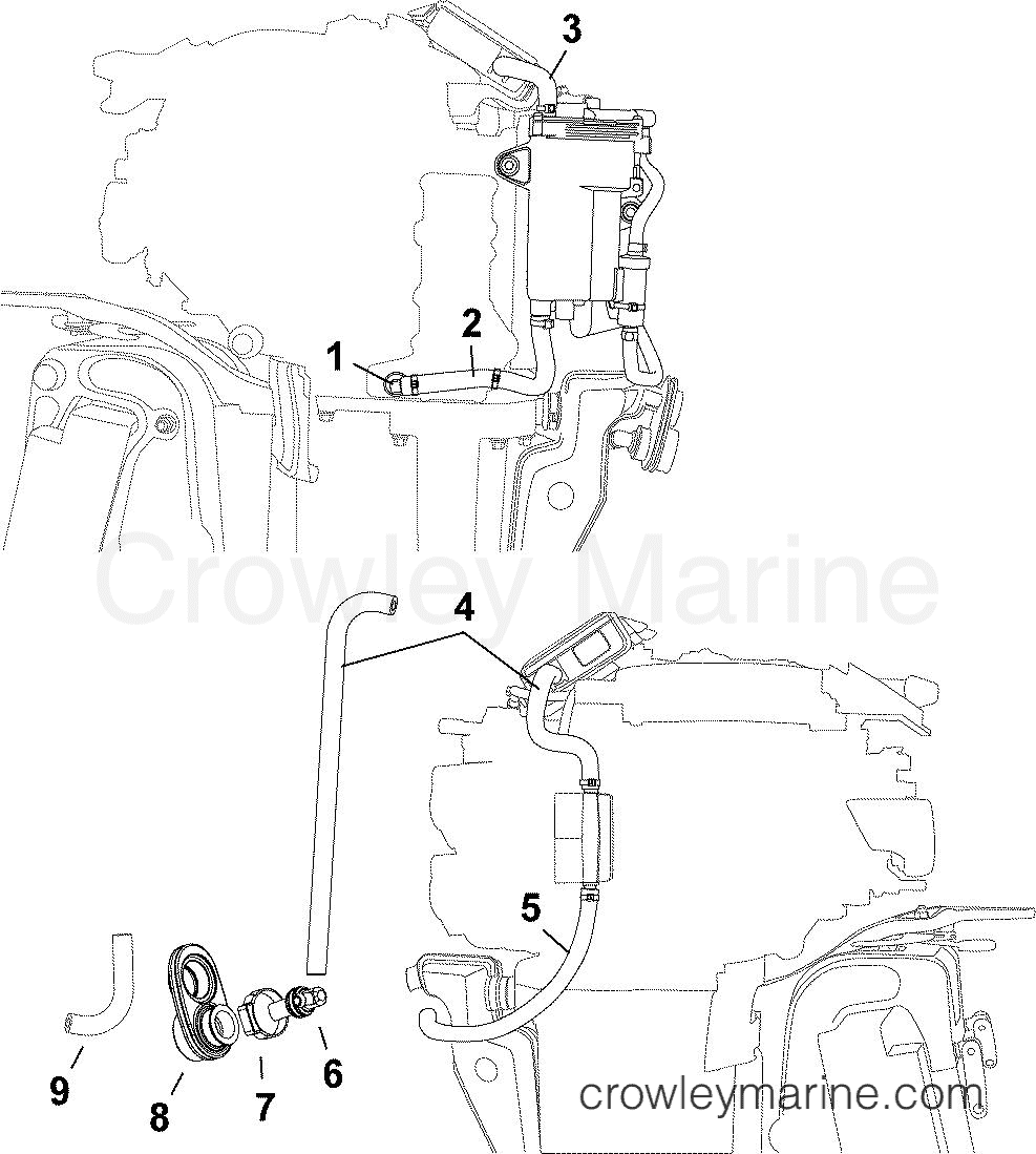 AA Outboard 30 - E30DPLAAA - COOLING HOSES
