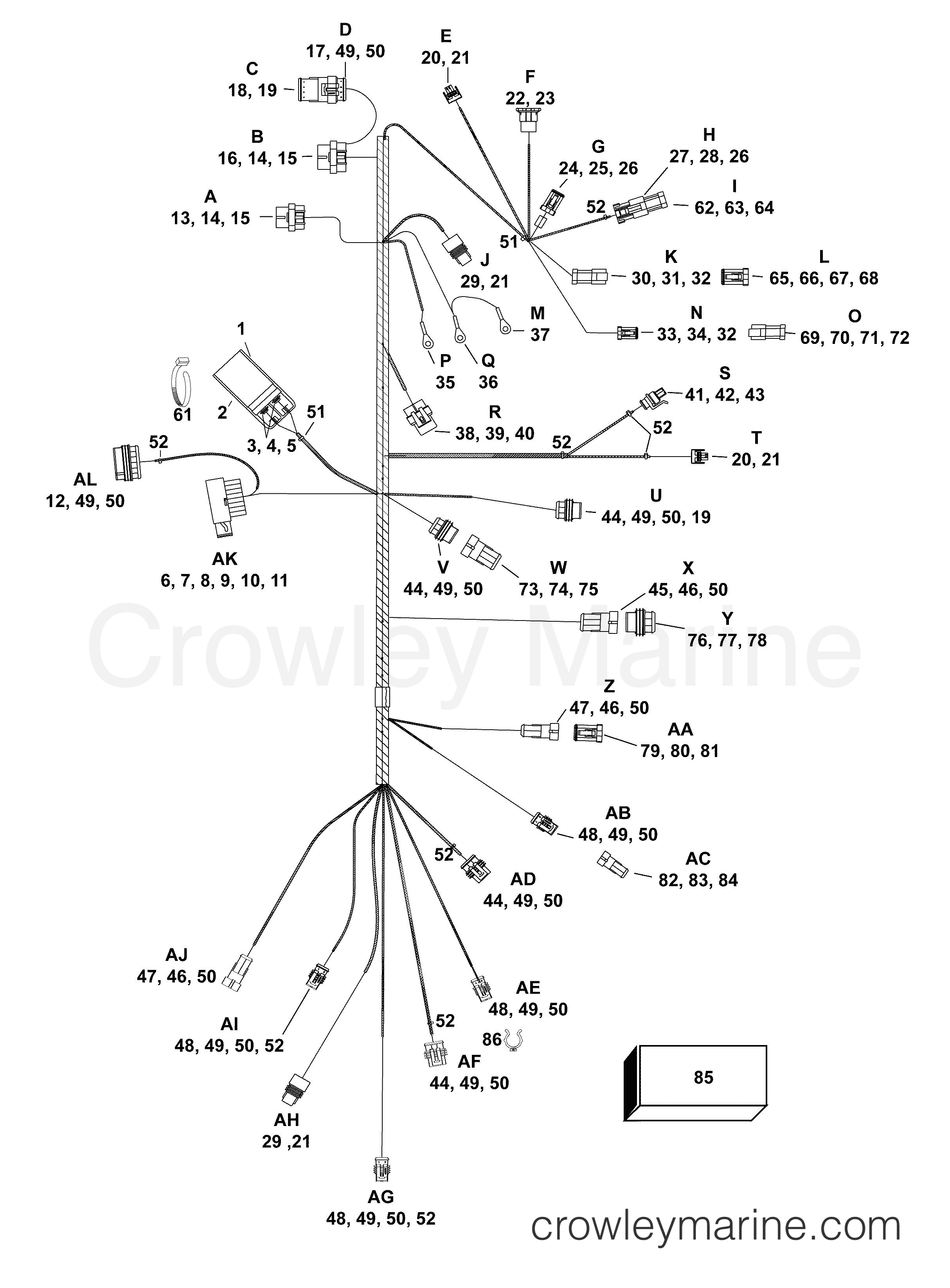 AF Outboard 50 - E50DRMLAFA - ELECTRICAL HARNESS