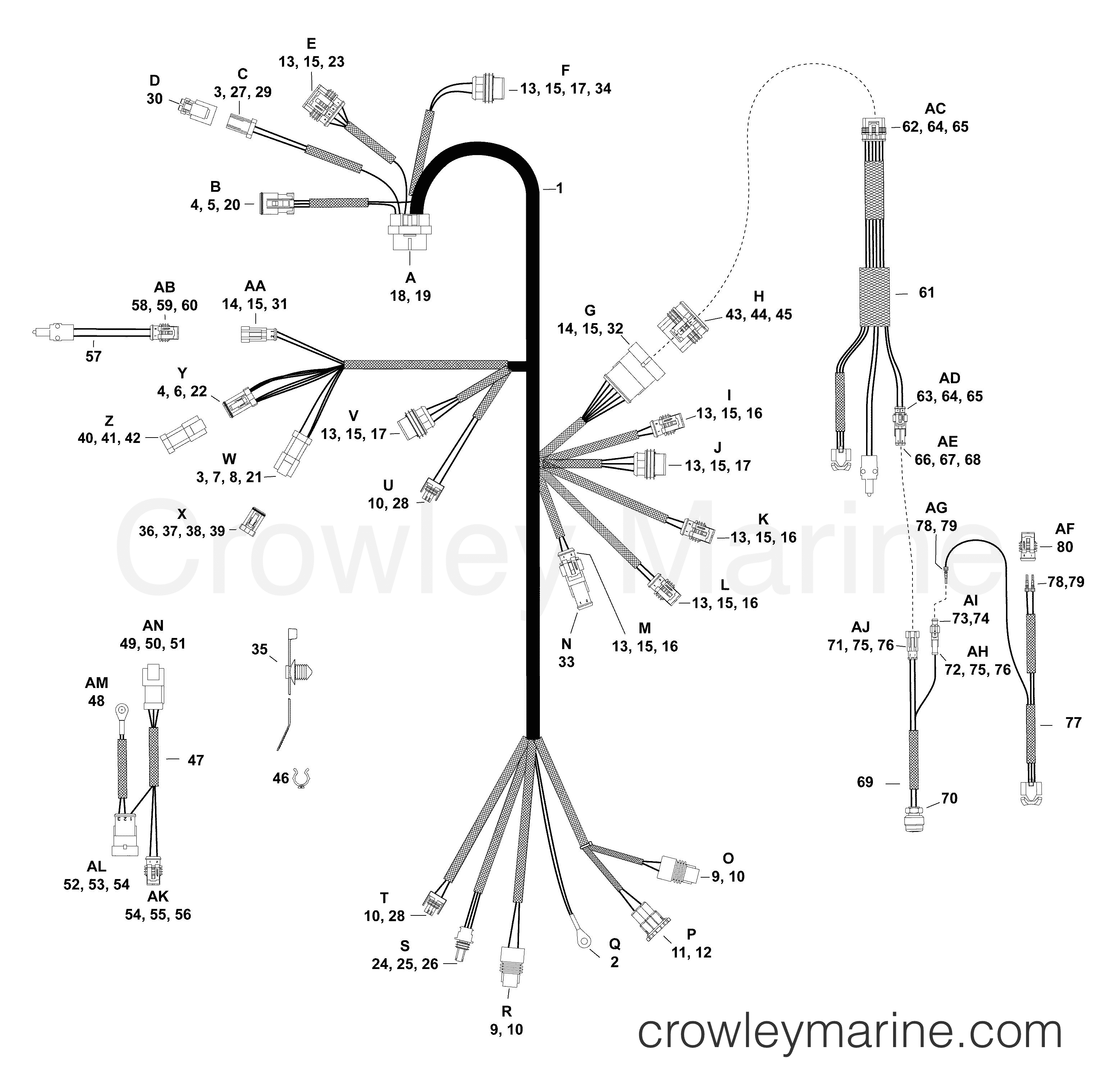AA Outboard 25 - E25DPLAAB - ELECTRICAL HARNESS