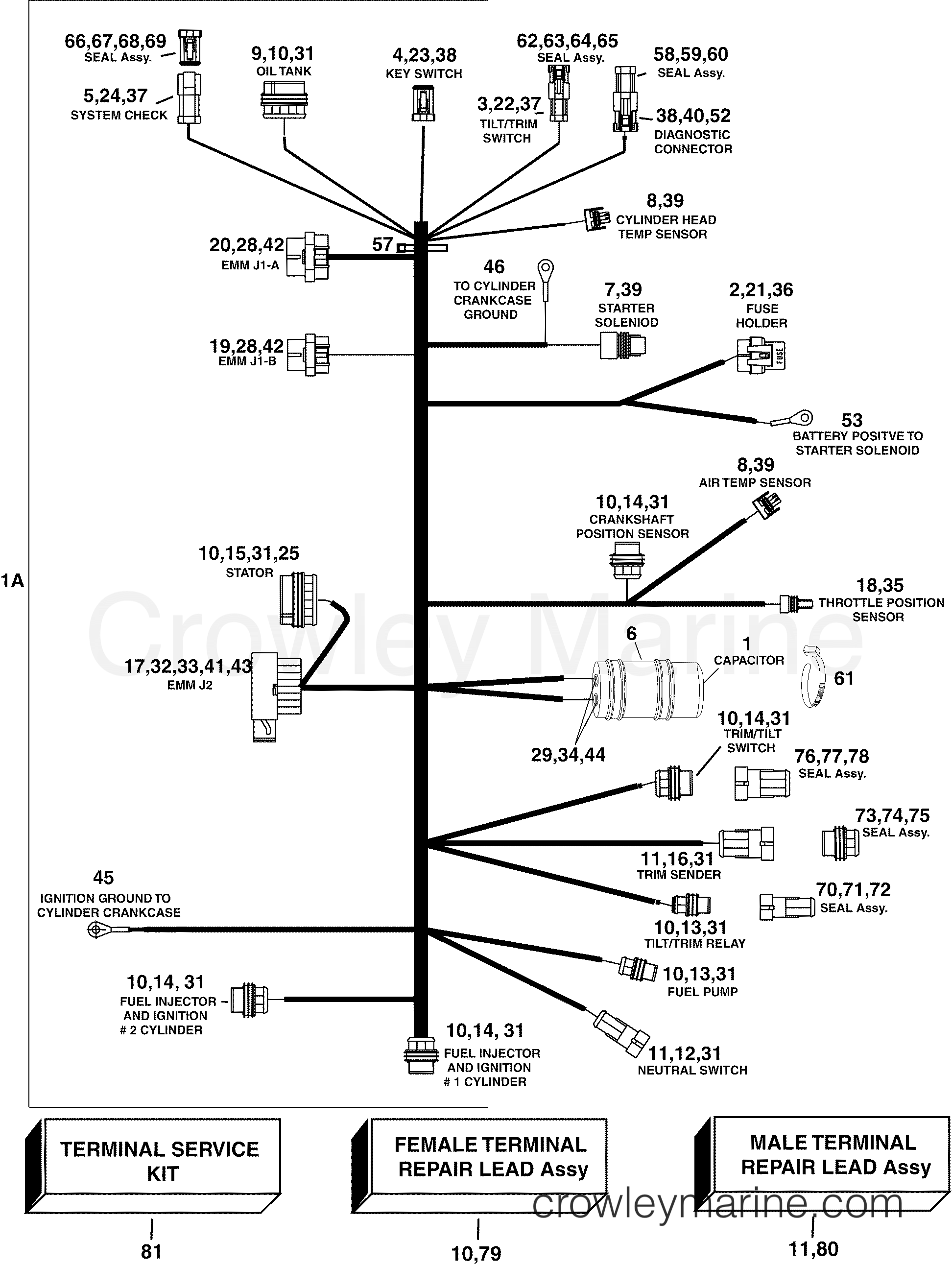 2004 Outboard 50 - E50DPLSRC - ENGINE ELECTRICAL HARNESS