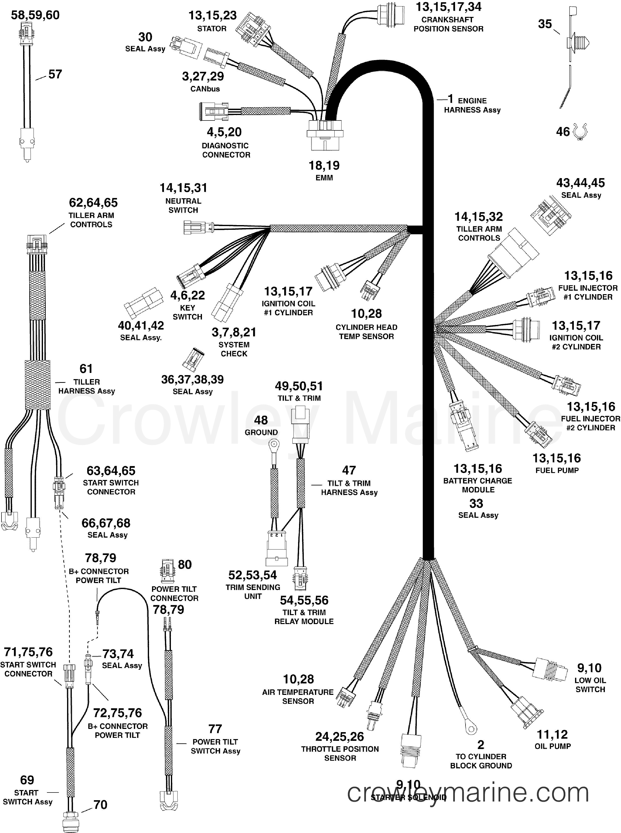 2012 Outboard 30 - E30DPSLINC - ELECTRICAL HARNESS
