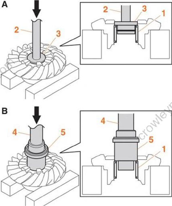 Lower Unit [Drive Shaft And Lower Case (Counter Rotation Model)] [2017 ...