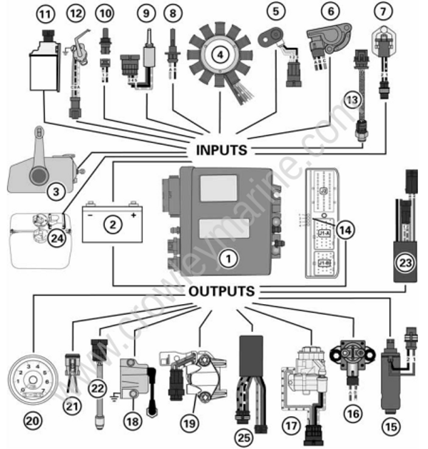 THE ALFEE FILE ARENA37℃ 1983.5 - 2000.9 Service Manual 115-200 HP 60° V4-V6 E-TEC Engine Managment