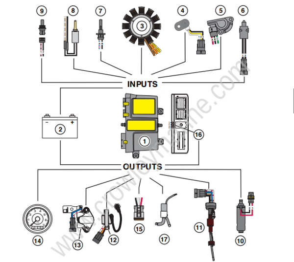 Service Manual 40-65 HP E-TEC Engine Managment Module [Inputs And ...