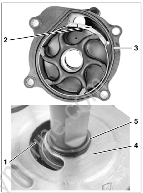 Service Manual 5007213_Evinrude ETEC 115200 HP Cooling System