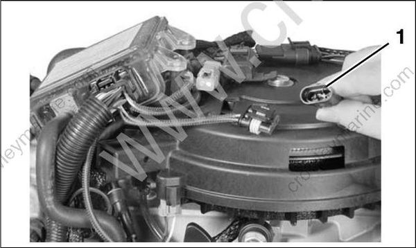 Service Manual 5008732_15-30 HP Electrical And Ignition [Sensor Tests ...