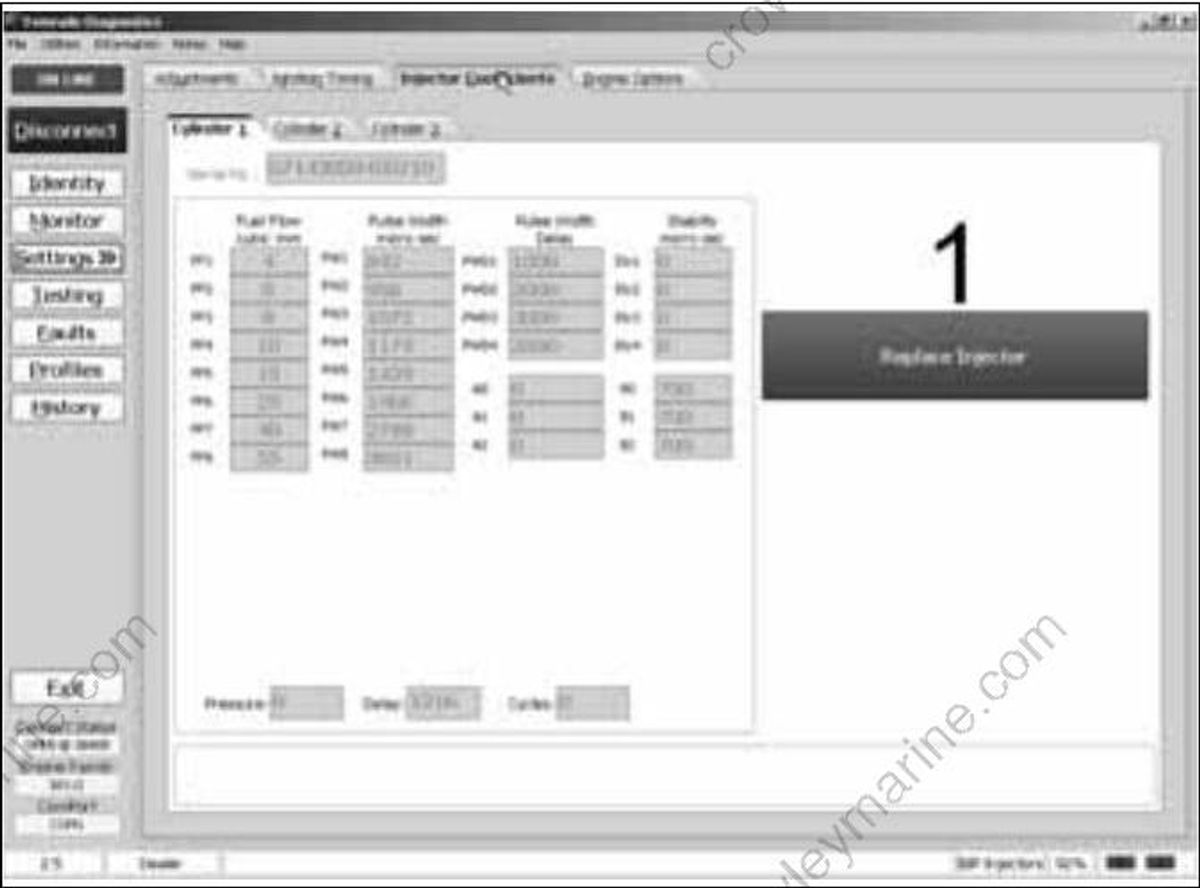 evinrude etec software help