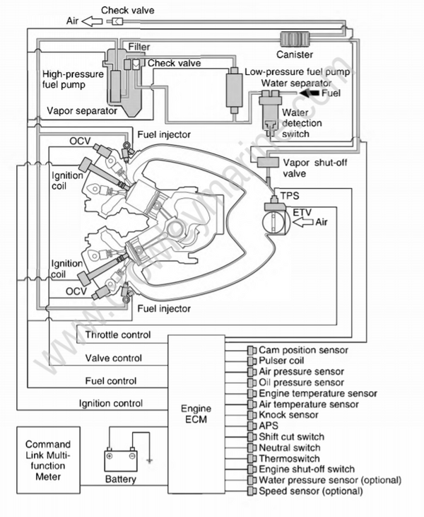 Technical Features And Description [Electronic Control System] [2013