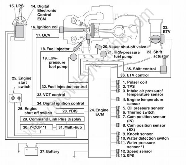 Technical Features And Description [Electronic Control System] [2017