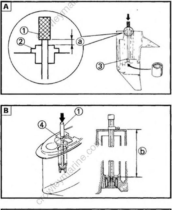 Lower Unit [Drive Shaft, Forward Gear, Shift Rod And Oil Seal Housing