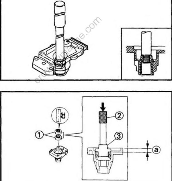 Lower Unit [Drive Shaft, Forward Gear, Shift Rod And Oil Seal Housing