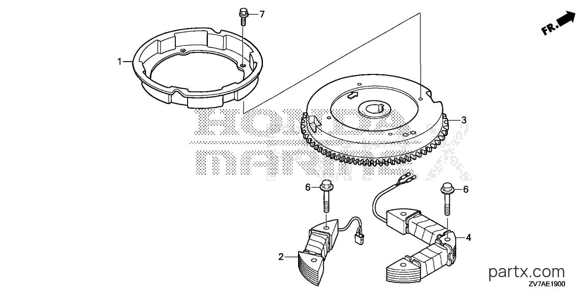 Honda BF30DK2 LRTA - FLYWHEEL