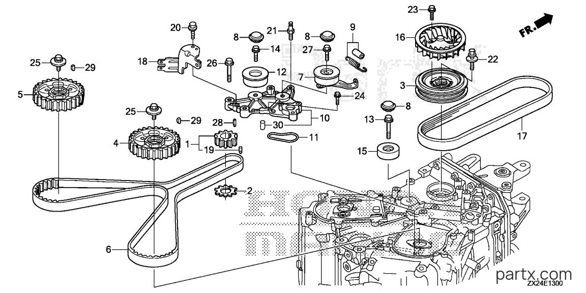 Honda BF250A LW - TIMING BELT