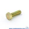 Screw