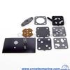 0393088 - Fuel Pump Repair Kit