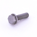 Screw