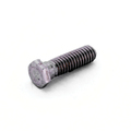 Screw