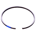 Seal Ring