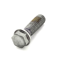 Screw