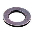 Lower Thrust Washer