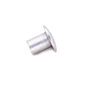 Rivet