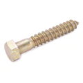 Lag Screw