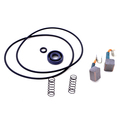 0398606 - Brush & Seal Kit