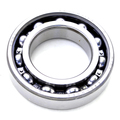 20839T - Ball Bearing