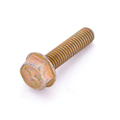 40062129 - (M6 X 25) Screw