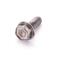 4006731 - (M6 x 16) Screw