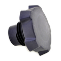 811569 - Oil Fill Cap-