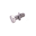 Screw