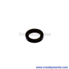 Oil Seal