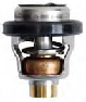Thermostat (50 Degree C)