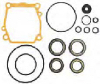 Gearcase Seal Kit