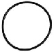 O-Ring
