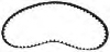 Timing Belt