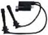 Ignition Coil Assembly