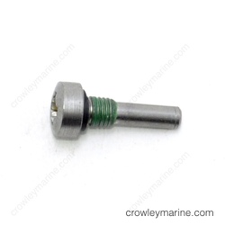 PIVOT PIN /& WASHER Evinrude 0308376
