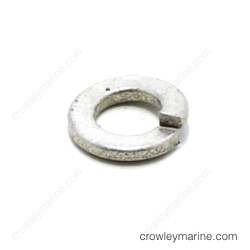 Imported image for 0318499-0318499
