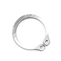 Retaining Ring