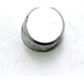 Water Intake Screen Plug