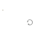0302577 - Retaining Ring