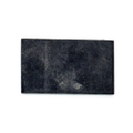 0303843 - Co-Pilot Plate Spacer