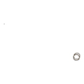 Control Valve Spring