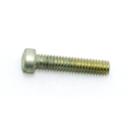 Armature Plate Screw