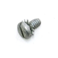 Screw