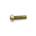 Screw